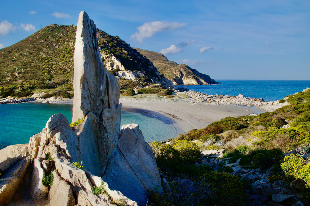 Wines from Sardinia